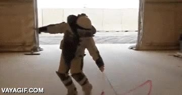 desactivador de bombas,hurt locker,gimnasia artistica,princesas,gimnasta,cinta,soldado