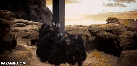 tiendas,apple,nuevo movil,iPhone 6,adorar,fans,hipsters