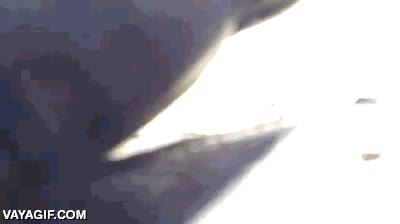 curva,pillar,coger,en marcha,a toda velocidad,en plena curva