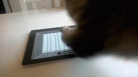 caer,tablet,jugar,gato,raton,mesa