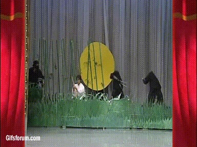 samurai,katana,cortar,habilidad,maestro,partir en dos,ninjas