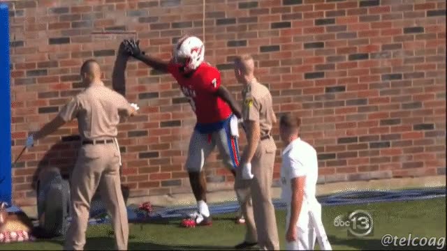 futbol americano,jugador,placaje,apartar,soldado,perro,proteger,campo,salirse del campo