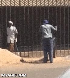 tierra,cargar,construcción,albañil,tonto,carretilla