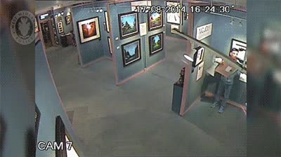 robar,chaqueta,tonto,pintura,ladrón,muy sutil,cuadro,camara de vigilancia