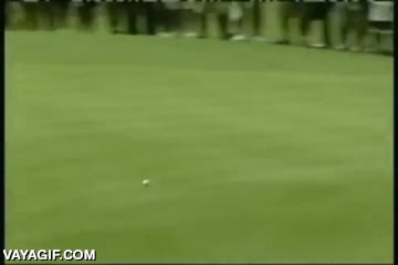 lucky shot,suerte o habilidad,hoyo,golf,golfista,dentro,buen golpe