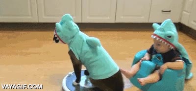 roomba,tiburon,gato,bebe,ni&ntilde;o,disfraz,capucha