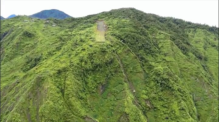 pista de aterrizaje,aterrizar,avion,monta&ntilde;a,papua