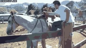 caballo,montar,intentar,intento,fail,el caballo ni se mueve,al suelo