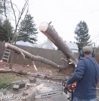 che guevara,frase,cortar,sierra electrica,levantarse,de pie