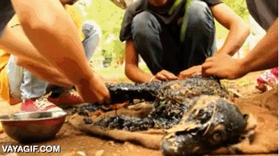 don't cry,perro,pozo,alquitr&aacute;n,ensuciado,no tan f&aacute;cil de limpiar,paciencia,esfuerzo