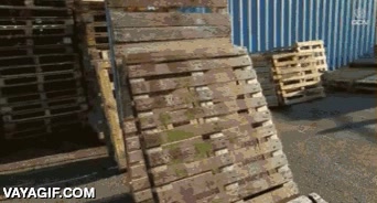 trial,bici de carretera,este tio es un crack,toboganes,de agua,pal&eacute;s