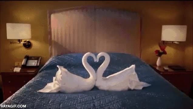 cisnes,cama,toallas,stop motion,tiburón,animación