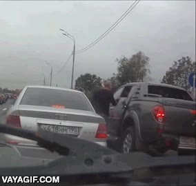 perro,rusos,salir del coche,road rage,rabioso,miedo,miedito