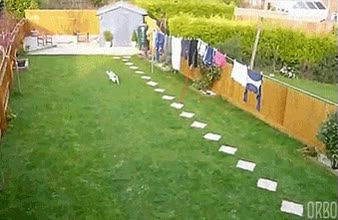 bueno a la maquina si,y una pelota,tirar,pasar,lanzar,lanzamiento