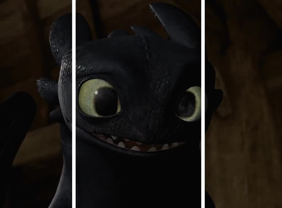 acariciar,desdentao,como entrenar a tu dragon,toothless,efecto,barras blancas