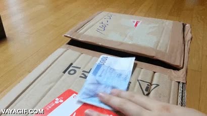 gato,banquero,banco,caja,billete