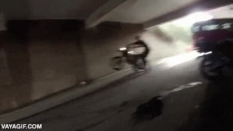 listo,wheelie,caballito,levantar rueda,fail de los buenos