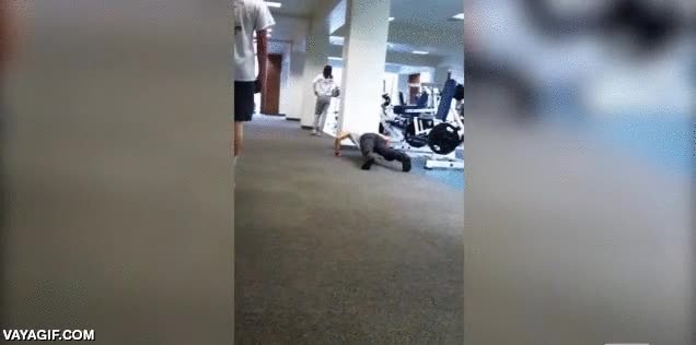 PROFESIONAL,GyM,siempre,arriba,tete,maestro