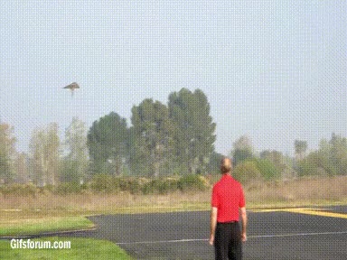 gigante,avion,avioncito,de papel,atrapar,al vuelo,volar