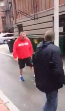 ordenes,atacar,bien adiestrado,defensa,perro