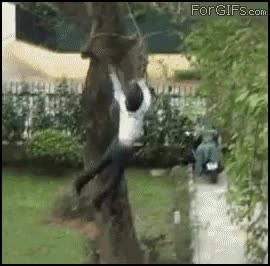 &aacute;rbol,casa,golpe,ca&iacute;da,fail,al suelo