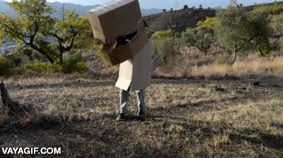 dinosaur,dinosaurio,best,mejor,disfraz,cart&oacute;n,cajas,flow