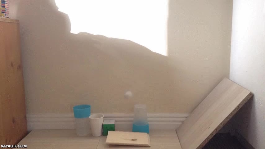 rebotar,carambola,pelotas de ping-pong,rebote,vaso,acertar