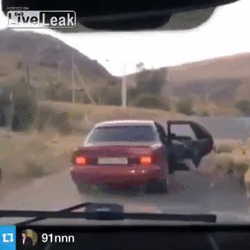 oveja,robar,reba&ntilde;o,coche,en marcha,pobre animal