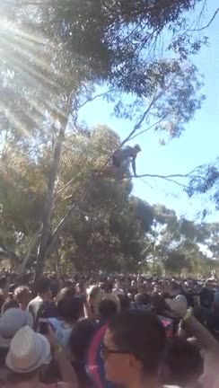 al suelo,por tonto,festival,trepar,subir,escalar,arbol,rama,romperse