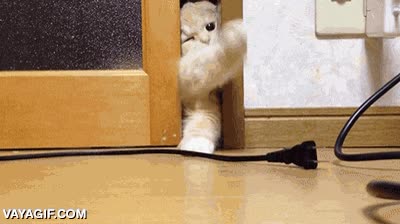 tampoco,puerta,lengua,no caber,espacio