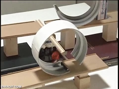 Máquinas de Goldberg milimetradas a la perfección que son prácticamente hipnóticas maquina de goldberg,efecto en cadena,mariposa,accion reaccion