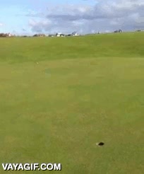 golf,golfista,green,cuesta,vacilada,dentro,maestro o suerte