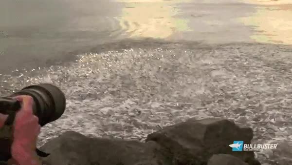 peces,pez,banco,agua,olas,mar,pescador