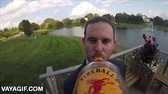 esto lo har&eacute; yo en mi boda,primer plano,gopro,botella,fireball,idea genial,beber