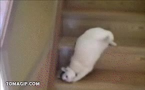 arrastrarse,bajar,escaleras,pereza,miedo a las alturas,vago