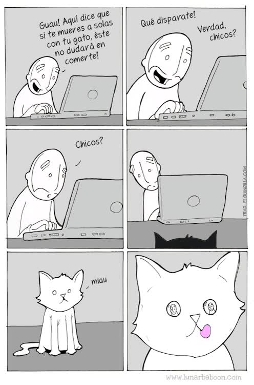 ahora lo veo de otra forma,gato,morir,devorar,comer,dudar,curiosidad