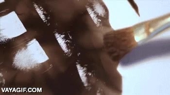 ave sobre granada,quemado,quemar,fuego,llama,pintar,maestro