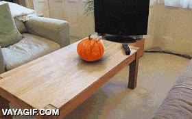 comentarios para el logro aqu&iacute; GRACIAS,calabaza,lanzar,cuchillo,a por ti,venganza