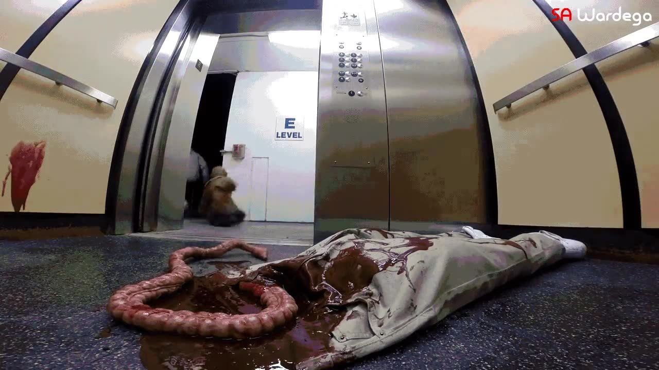 la verdad es que da miedo,perseguir,partido por la mitad,zombie,sin piernas y sin brazo,halloween