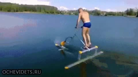 aparato raro,agua,feel like a zapatero (el bicho no el presidente),saltitos,avanzar