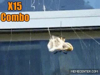 street fighter,super combo,mortal kombat,Araña,avispa