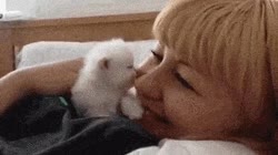 debe ser su mami,cachorro,gatete,Gatico,tierno