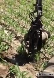 salvar la vida,grua,cubo,atrapado,atascado,oso