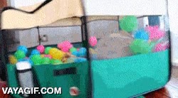 vueltas,locura,pug,carlino,piscina de bolas,i'm done