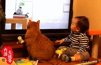 sincronizaci&oacute;n,ni&ntilde;o,gato,todo se pega