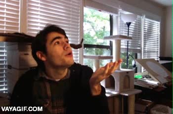 afeitar,mostacho,bigote,volar,hombre,adi&oacute;s,alegr&iacute;a