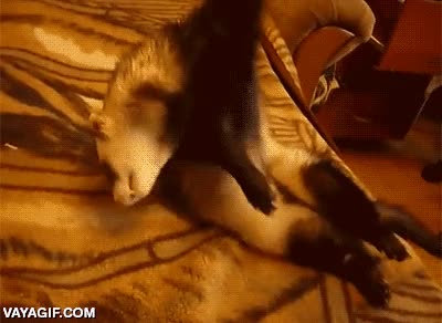 solo est&aacute; dormido espero,madre,inconsciente,en coma,intentar despertar,hur&oacute;n