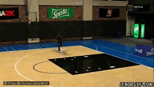 fail,bug,locura,canasta,videojuego,nba,mate