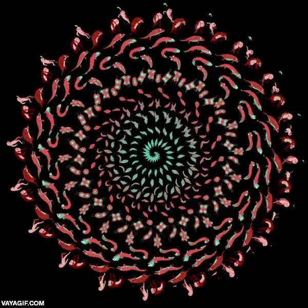 vida,evolucionar,espiral,movimiento,evolución,mosaico