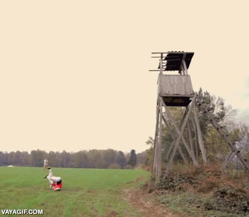 calculas mal y te despachurras,jugarsela,caer,especialista,salto,parkour,de espaldas